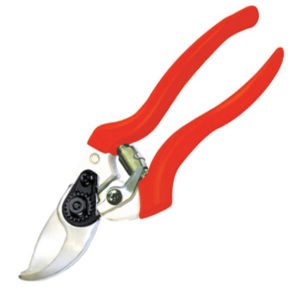 Gersher Rrushi Ecef "21590"