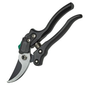 Gersher Rrushi Papillon "51978"