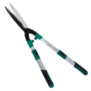 Gersher Ligustre Papillon "51979"