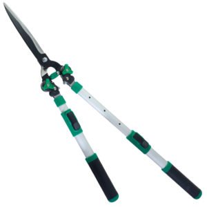 Gersher Ligustre Papillon "51980"