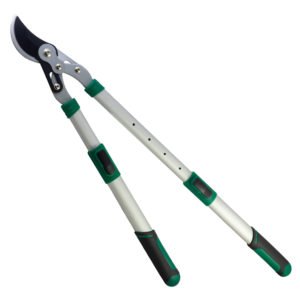 Gersher Krasitje Papillon "51982"