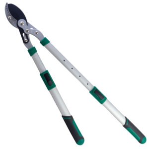 Gersher Krasitje Papillon "51984"