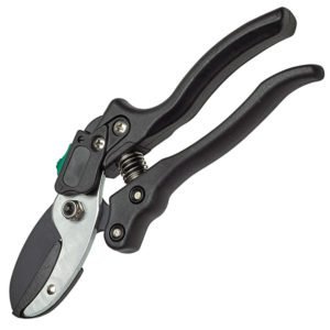 Gersher Rrushi Papillon "52036"