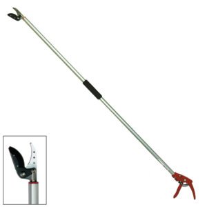 Gersher Krasitje Papillon "80696"