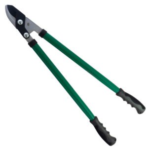 Gersher Krasitje Papillon "83405"