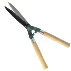 Gersher Ligustre Papillon "85995"