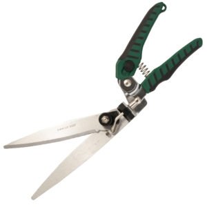 Gersher Ligustre Papillon "87286"