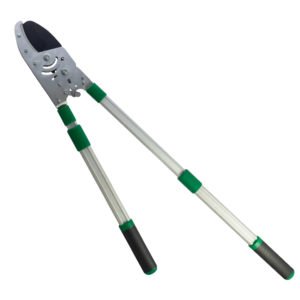 Gersher Krasitje Papillon "90979"