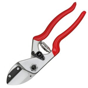 Gersher Rrushi "Felco 31"